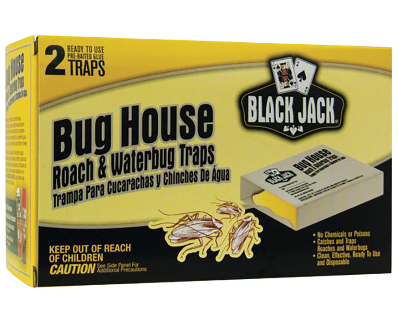 BLACK JACK BUG HOUSE ROACH AND WATERBUG TRAP (2 PACK)